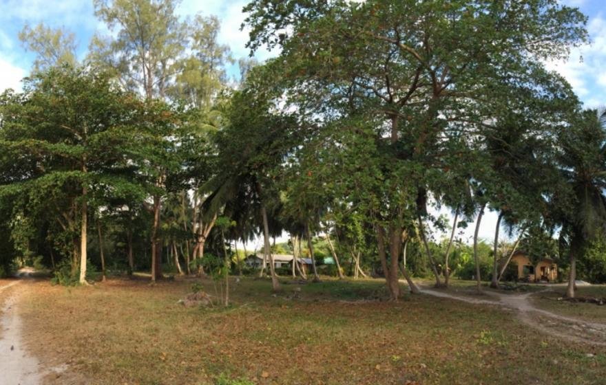Flat Land La Digue