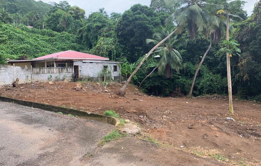 Recently Cleared Land
