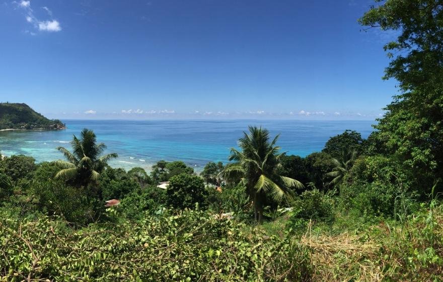 Views Speak Itself
