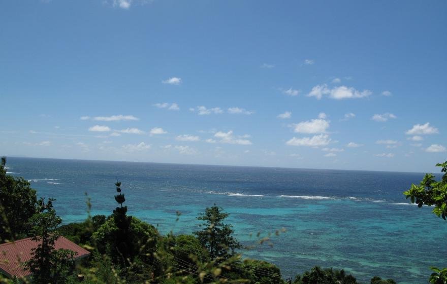 Tropical Lifestyle Awaits You