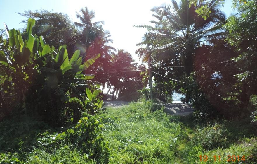 Exotic Hideaway