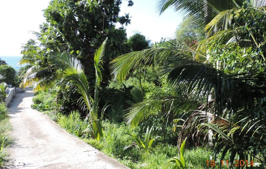 Exotic Hideaway