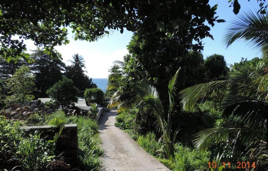 Exotic Hideaway