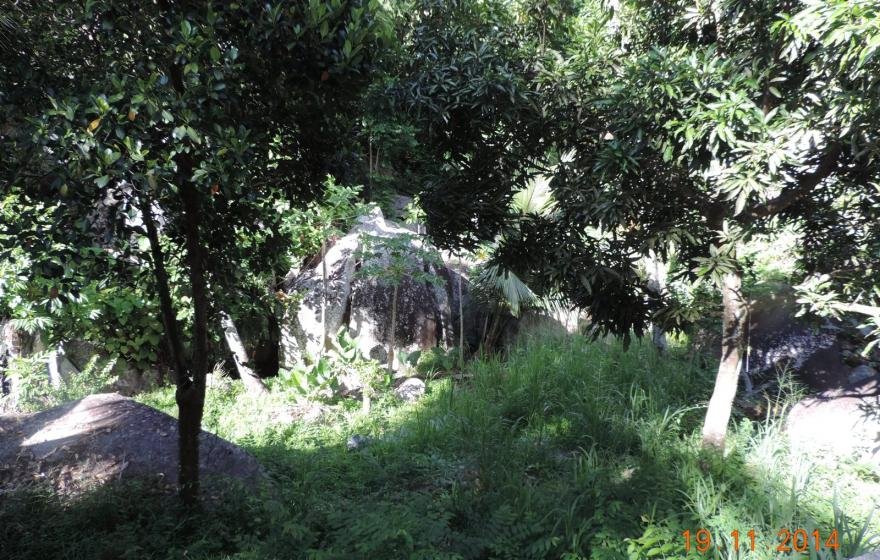 Exotic Hideaway