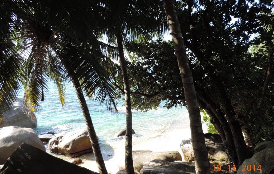 Exotic Hideaway