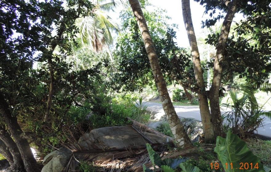 Exotic Hideaway