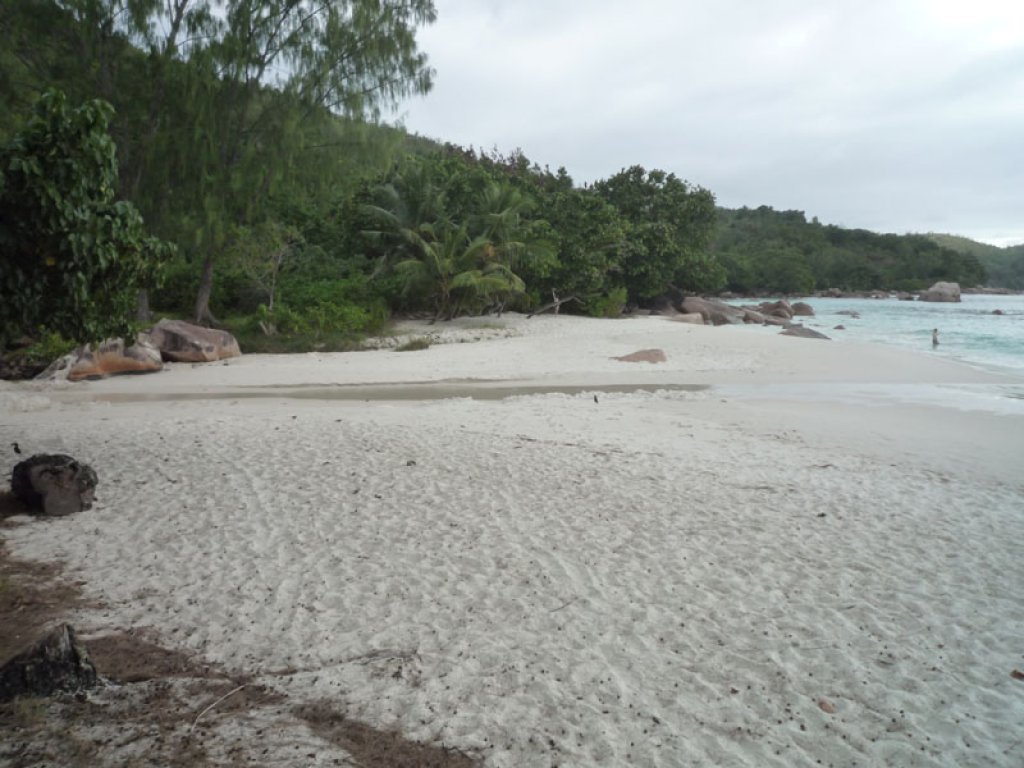 ID:55. Beach front villas, restaurant, bar and boutique at Anse Lazio