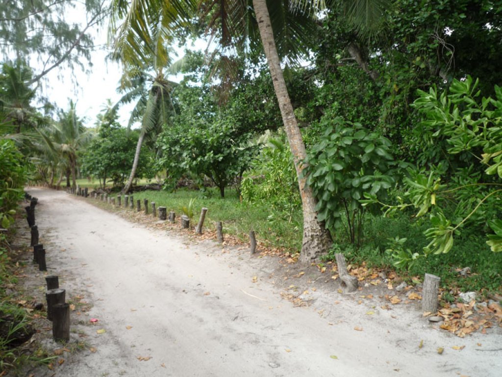 ID:55. Beach front villas, restaurant, bar and boutique at Anse Lazio