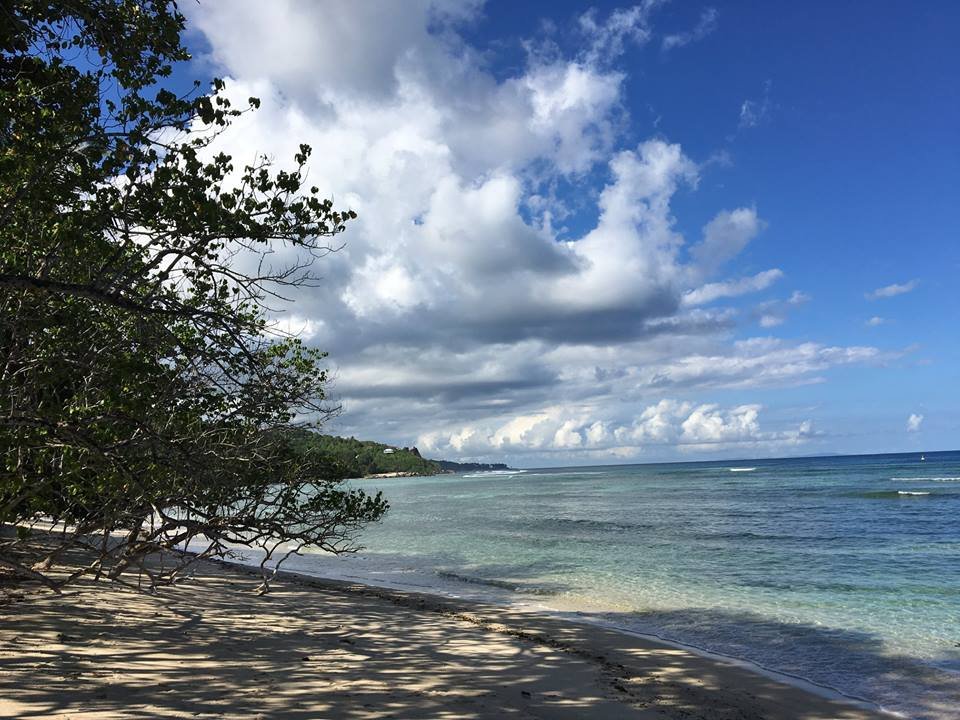 Exceptional Seafront Estate With Two Houses And Development Potential On Anse Marie Louise, Mahé