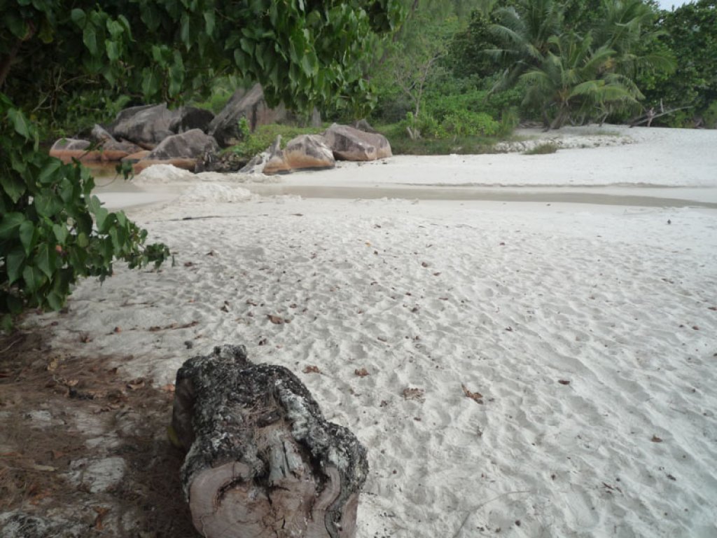 ID:55. Beach front villas, restaurant, bar and boutique at Anse Lazio